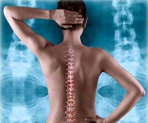 назад хребта ілюстрації